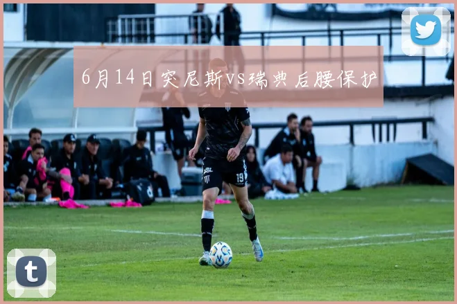 6月14日突尼斯vs瑞典后腰保护
