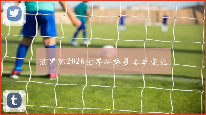波黑队2026世界杯球员名单变化