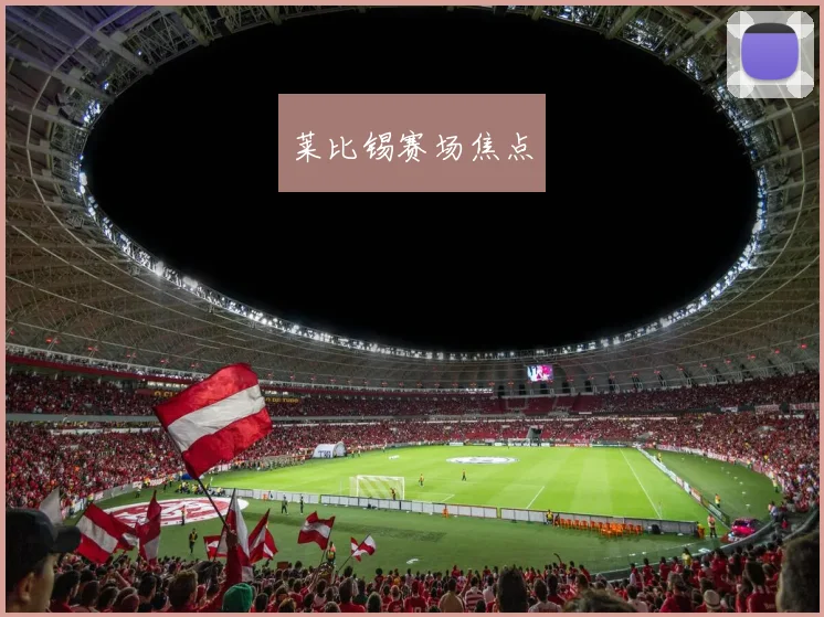 莱比锡赛场焦点
