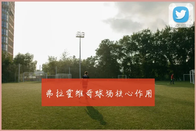 弗拉霍维奇球场核心作用