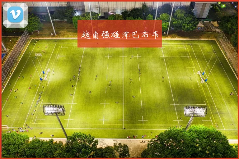 越南强碰津巴布韦