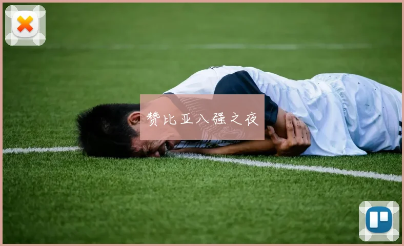 赞比亚八强之夜