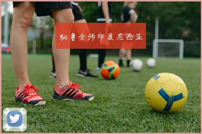 秘鲁会师印度尼西亚
