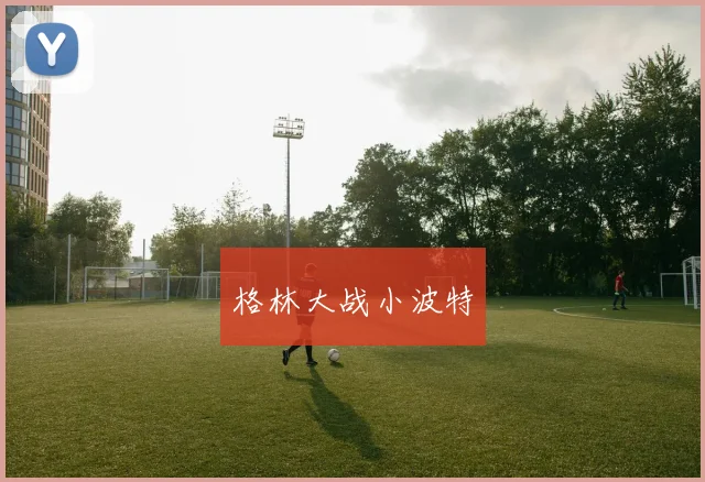 格林大战小波特