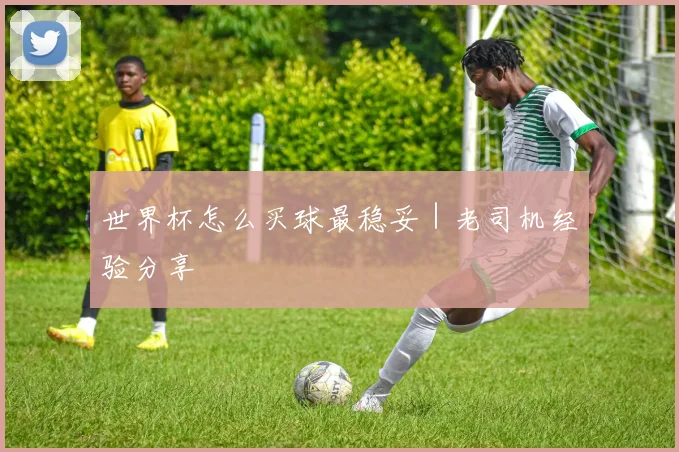 世界杯怎么买球最稳妥｜老司机经验分享