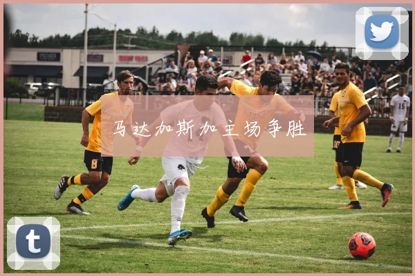 马达加斯加主场争胜