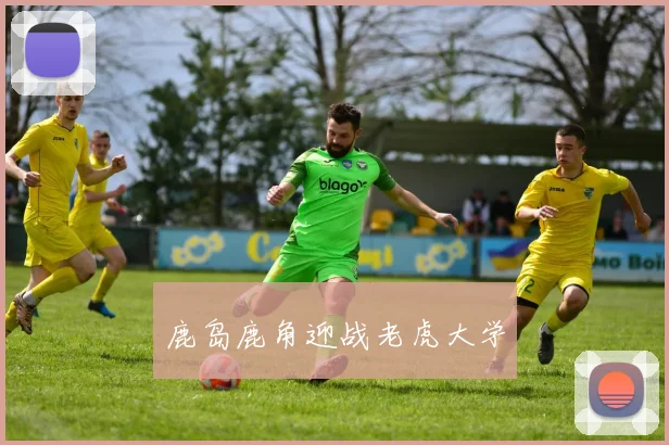 鹿岛鹿角迎战老虎大学