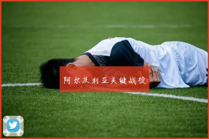 阿尔及利亚关键战役