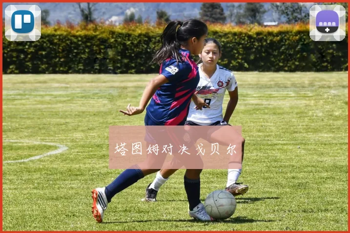 塔图姆对决戈贝尔