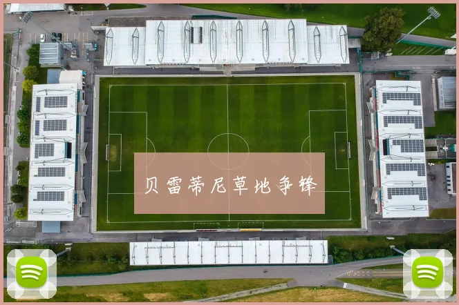 贝雷蒂尼草地争锋