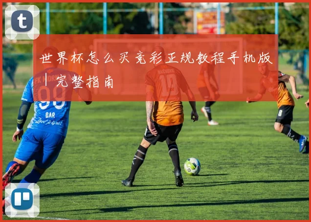 世界杯怎么买竞彩正规教程手机版｜完整指南