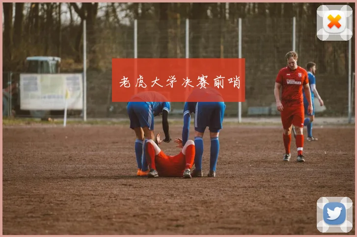 老虎大学决赛前哨