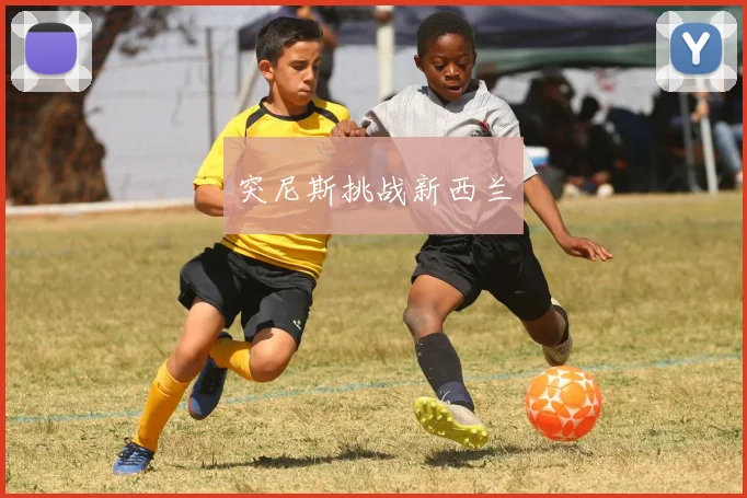 突尼斯挑战新西兰