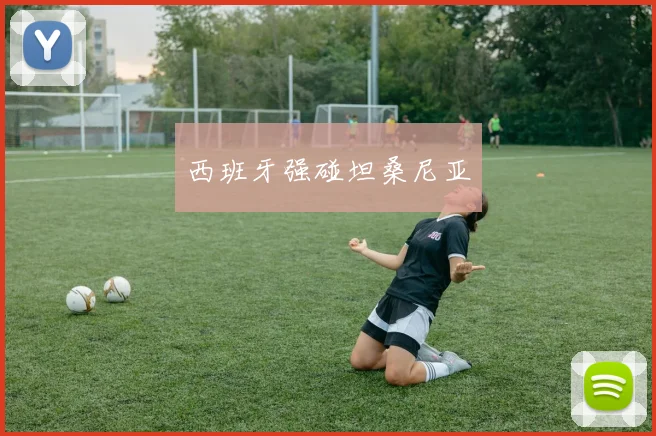 西班牙强碰坦桑尼亚