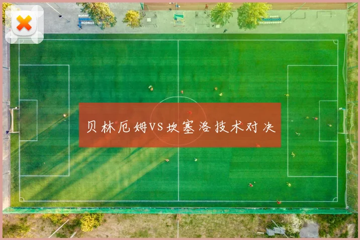 贝林厄姆vs坎塞洛技术对决