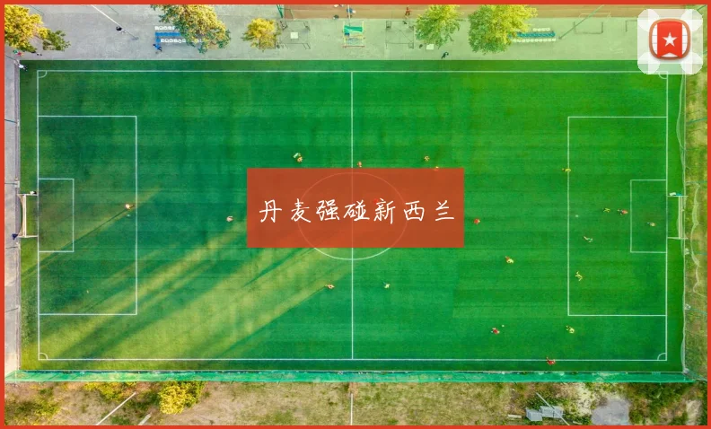 丹麦强碰新西兰