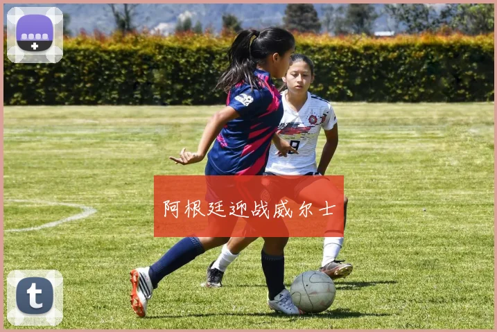 阿根廷迎战威尔士