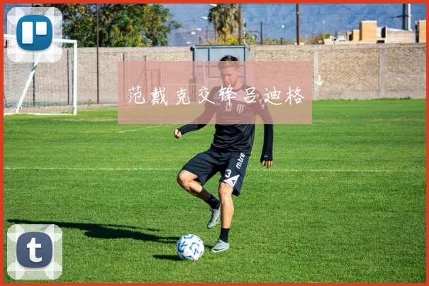 范戴克交锋吕迪格
