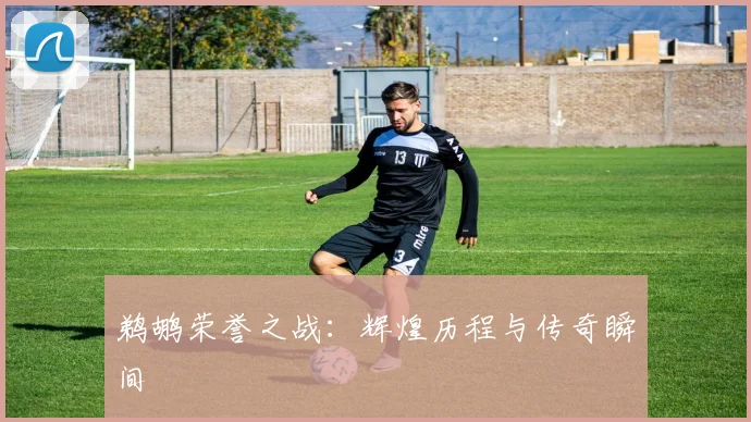 鹈鹕荣誉之战：辉煌历程与传奇瞬间