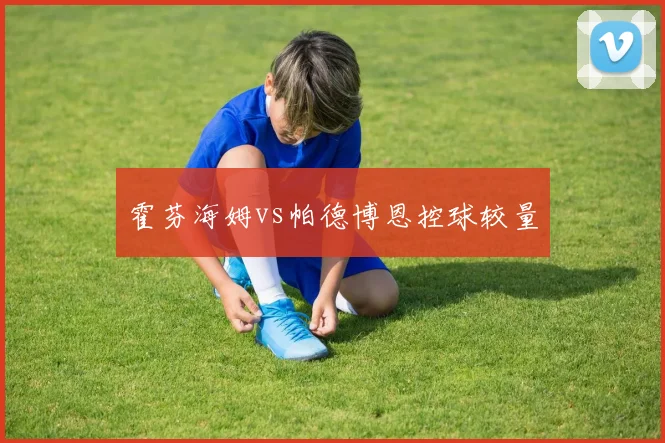霍芬海姆vs帕德博恩控球较量