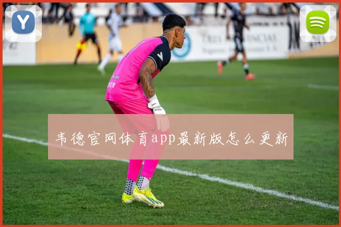 韦德官网体育app最新版怎么更新
