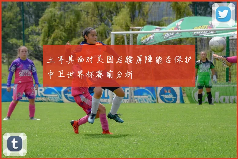 土耳其面对美国后腰屏障能否保护中卫世界杯赛前分析