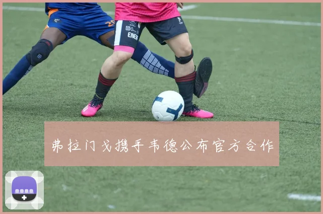 弗拉门戈携手韦德公布官方合作