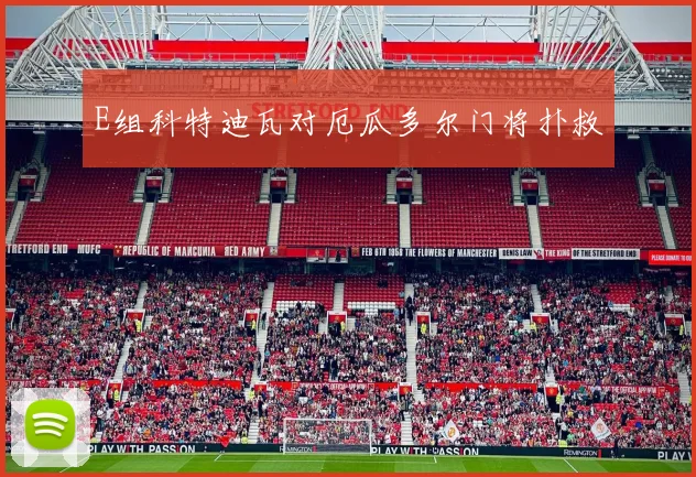 E组科特迪瓦对厄瓜多尔门将扑救